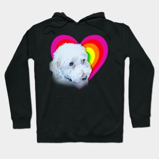 Boris!! The bichon! Hoodie